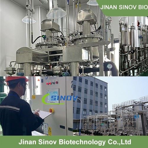 Oil Fish Capsules oem