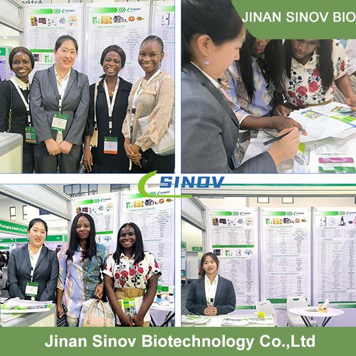 oem Oil Fish Capsules oem Oil Fish Capsules